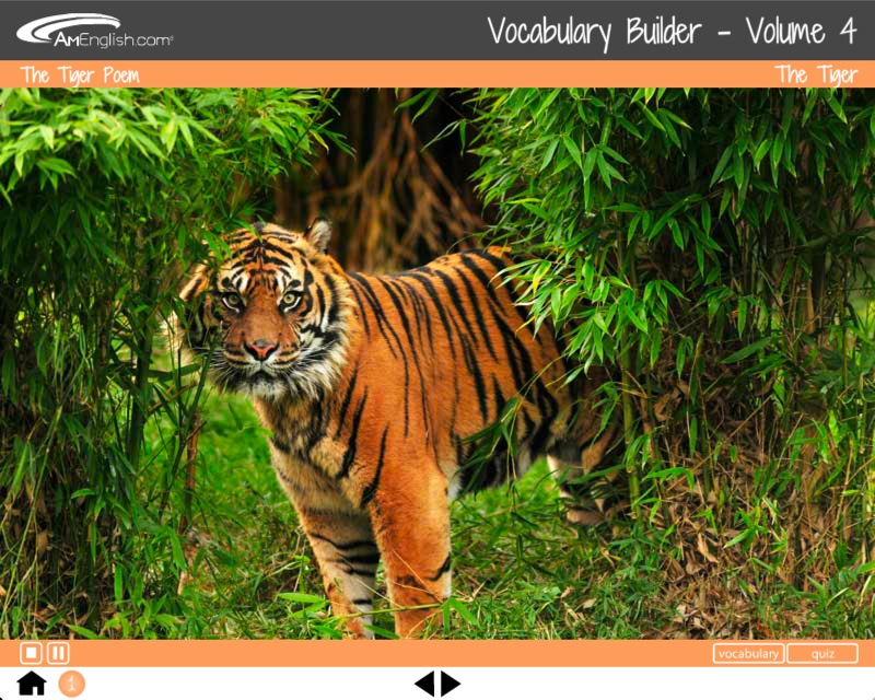 Generador de vocabulario: fotografías de Animal Tales