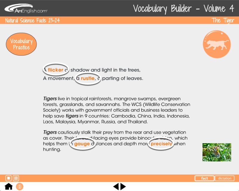 Vocabulary Builder: páginas informativas sobre Animal Tales
